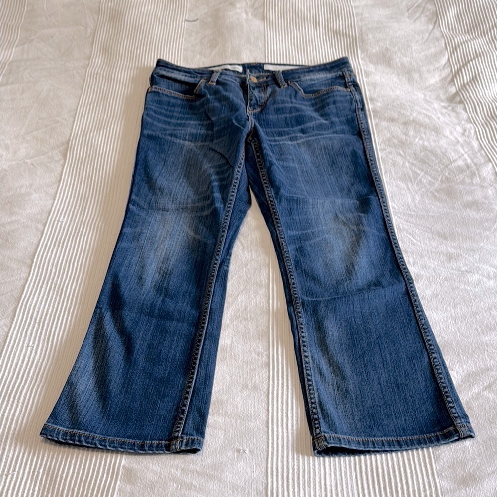 Anthropologie Pilcro and The Letterpress Blue Cropped Flare Stet Jeans Size 28